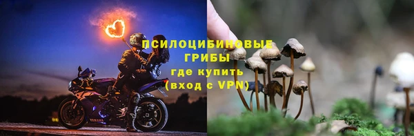 марки lsd Алзамай
