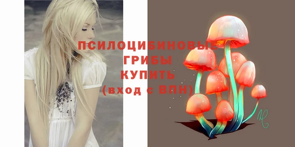 прущие грибы Алексеевка